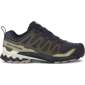 Salomon XA PRO 3D V9 GTX Trailrunningschuh Herren