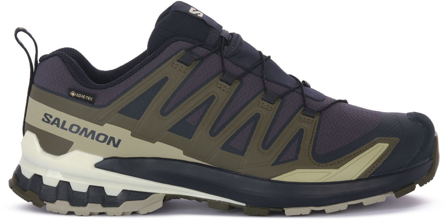 Salomon XA PRO 3D V9 GTX Trailrunningschuh Herren