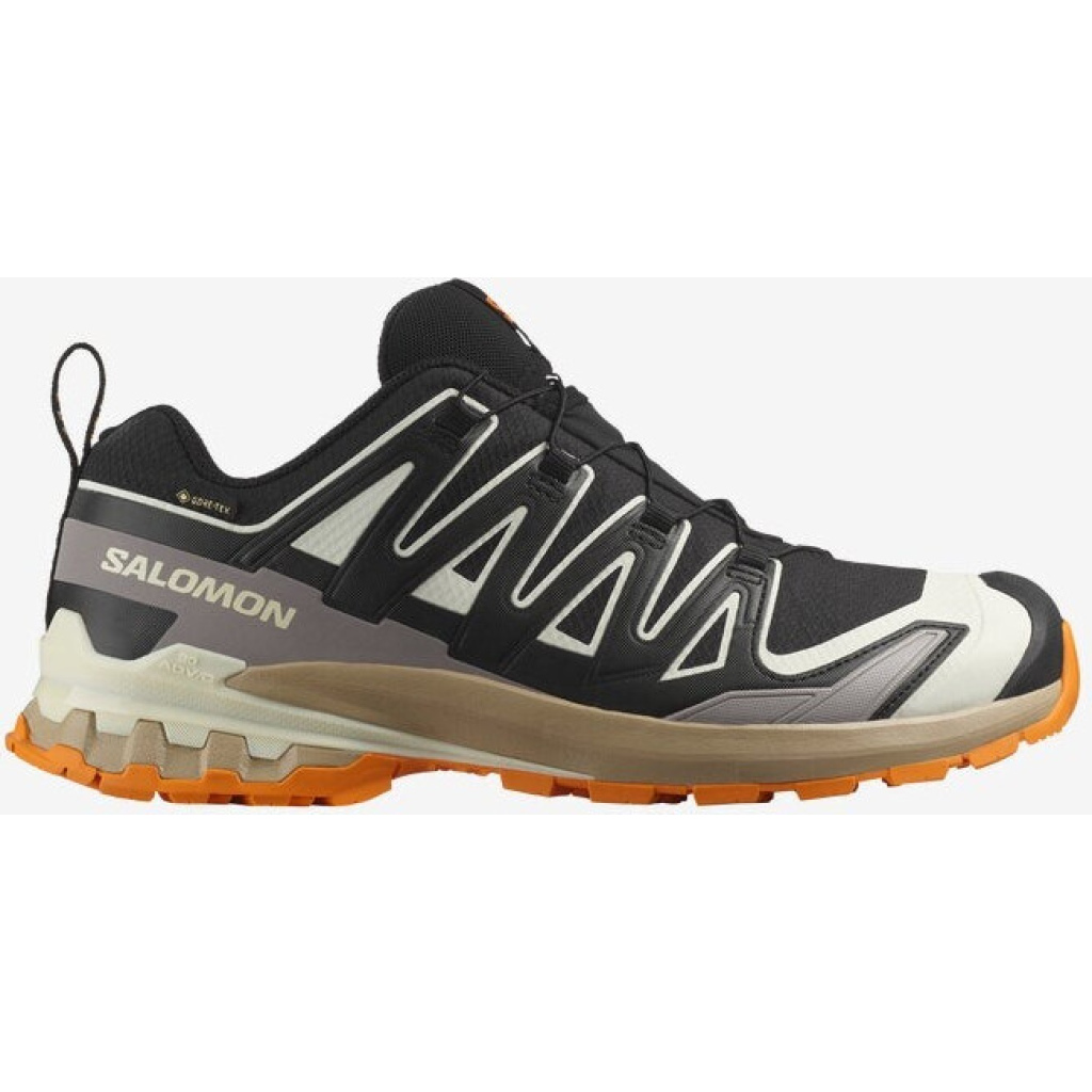 Salomon XA PRO 3D V9 GTX  Trailrunningschuh Herren