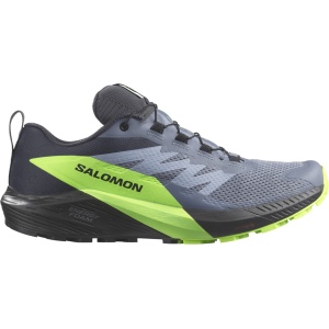 Salomon Sense Ride 5 GTX Trailrunningschuh Herren
