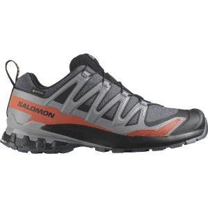 Salomon XA PRO 3D V9 GTX  Trailrunningschuh Herren