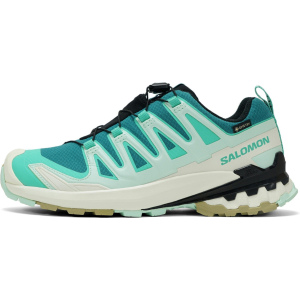 Salomon XA PRO 3D V9 GTX W Trailrunningschuh Damen