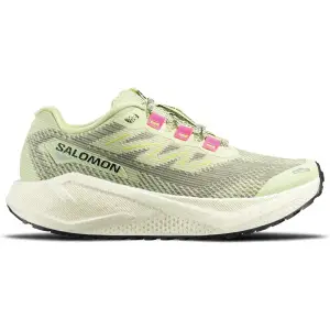 Salomon Aero Blaze 3 GRVL W Trailrunningschuh Damen