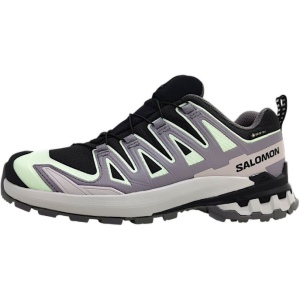Salomon XA PRO 3D V9 GTX W Trailrunningschuh Damen
