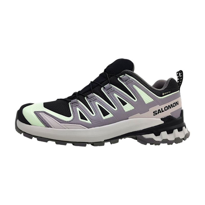 Salomon XA PRO 3D V9 GTX W Trailrunningschuh Damen