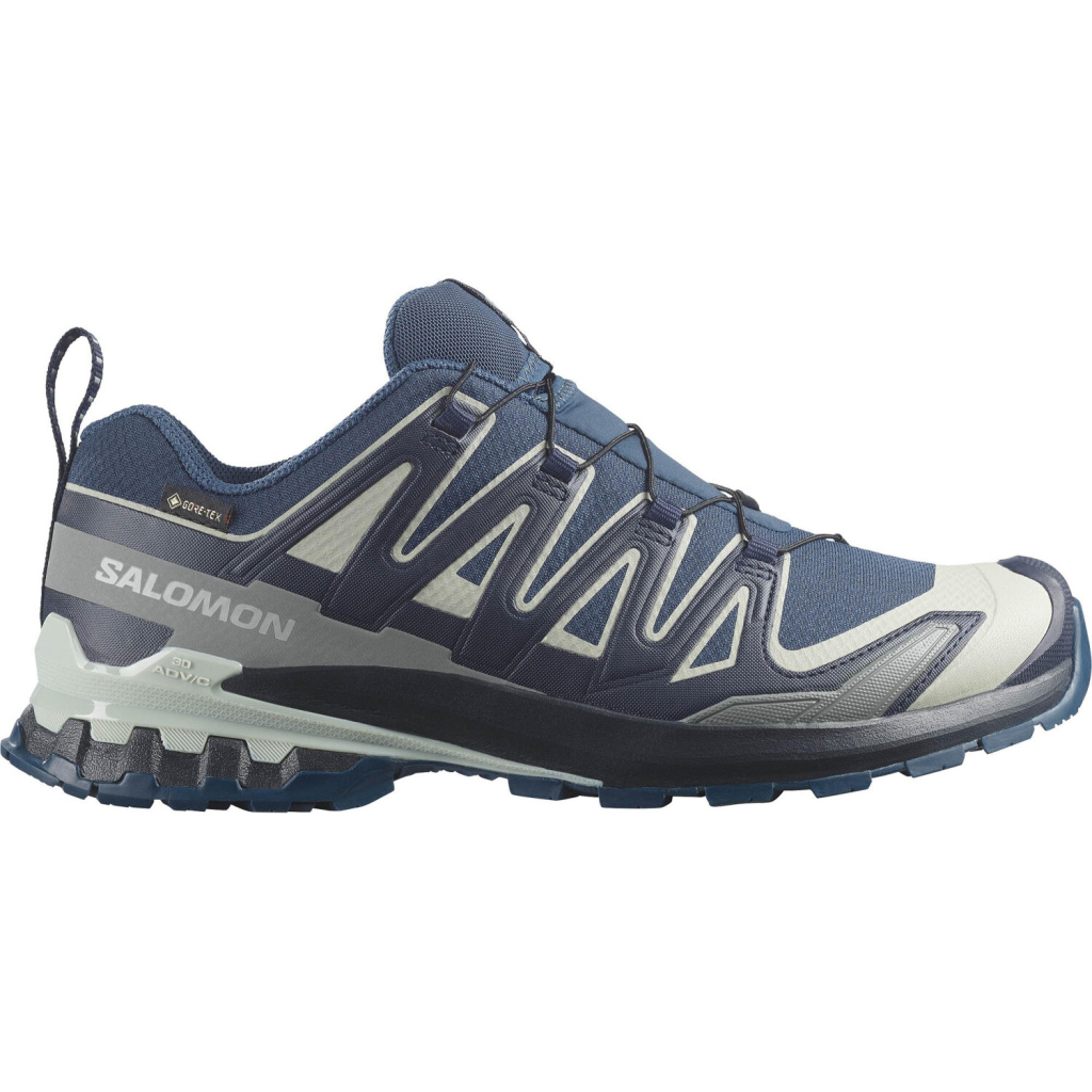 Salomon XA Pro 3D V9 GTX Trailrunningschuh Herren