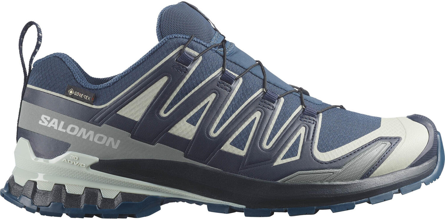 Salomon XA Pro 3D V9 GTX Trailrunningschuh Herren