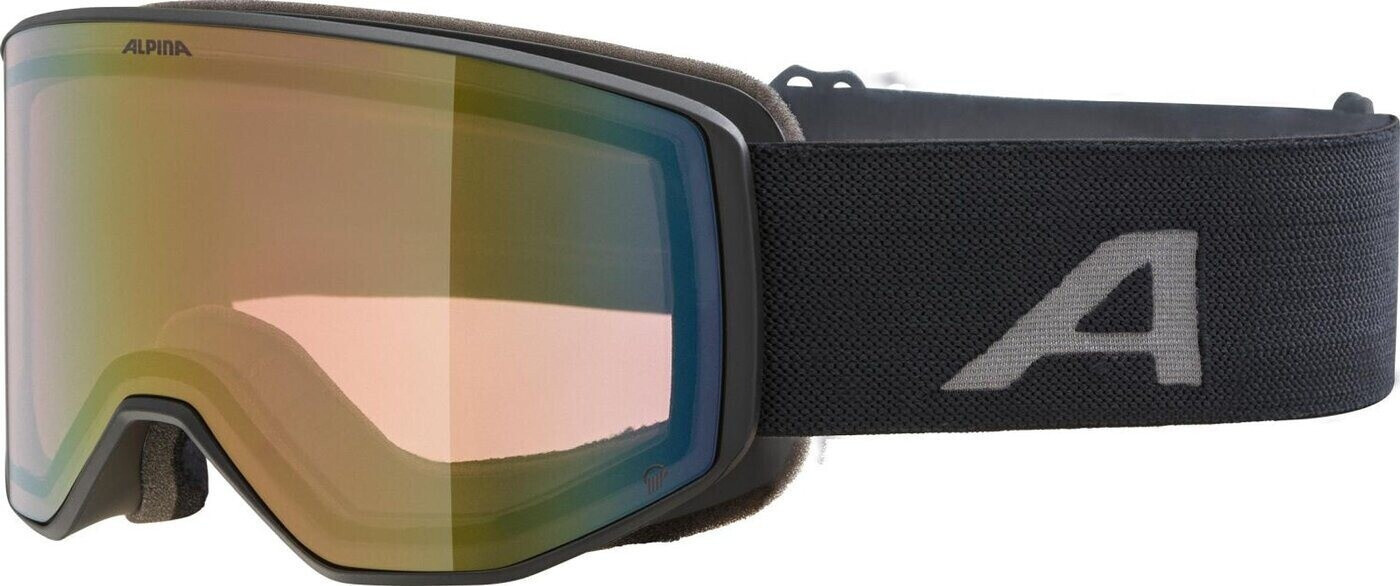 Alpina VENET Q Skibrille
